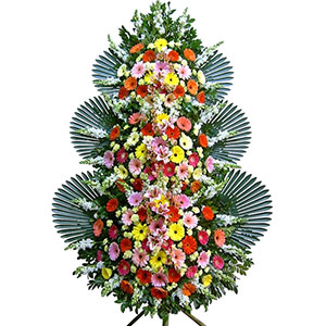 ÃàÇÏ 3´Ü ÇÁ¸®¹Ì¾ö ÃàÇÏ 3´Ü ÇÁ¸®¹Ì¾ö