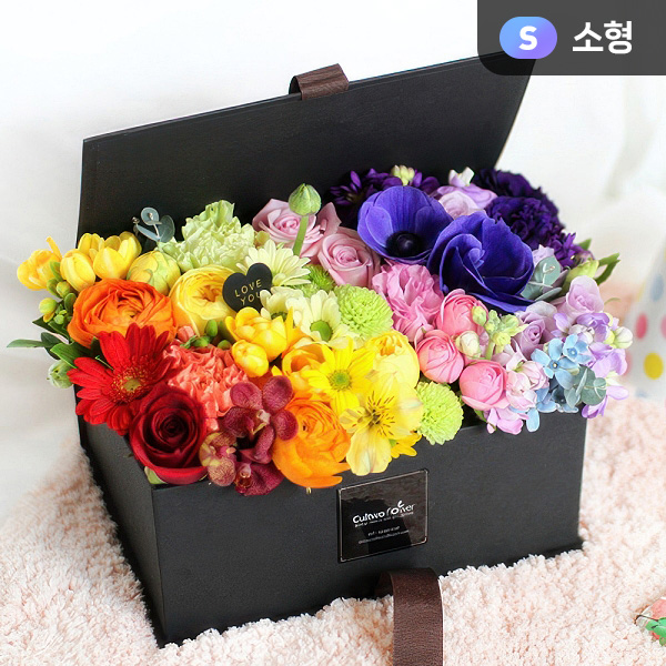 ���κ��� �긴��(����)