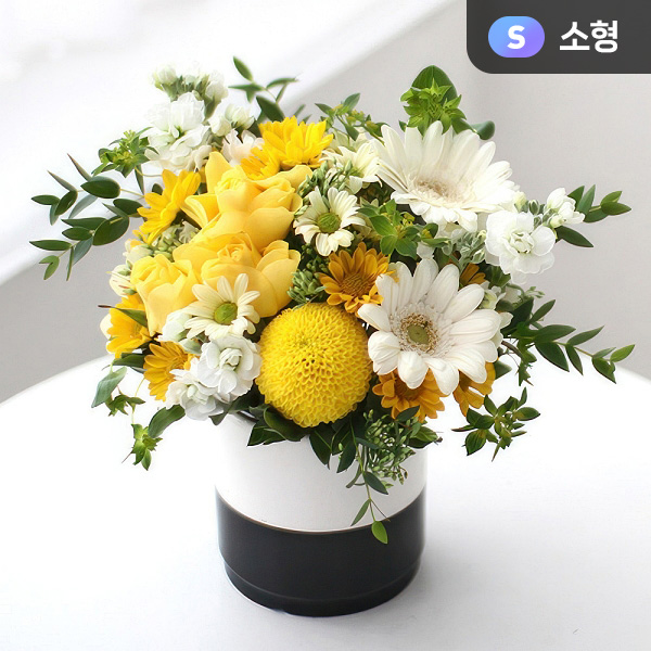 ����Ÿ��Ʈ(����)