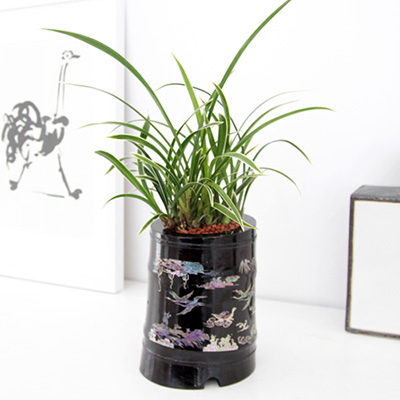 Ȳ�� B(����ĥ��)